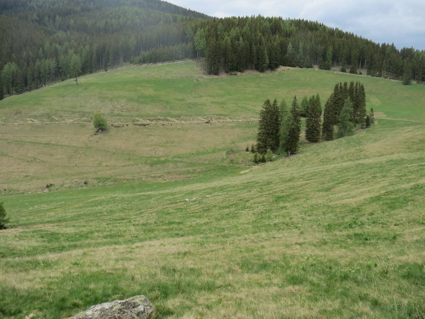 4,2 ha Wiesenfläche im Raum Knittelfeld
