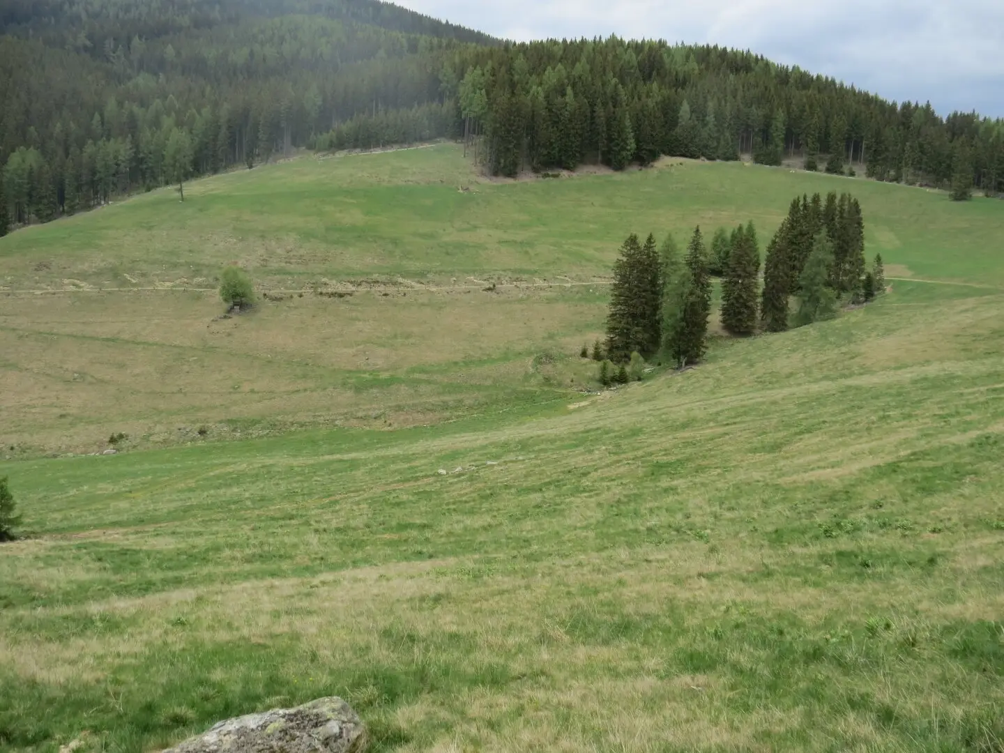4.2 ha meadow area in the Knittelfeld area