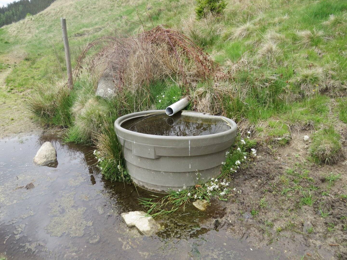 4,2 ha Wiesenfläche im Raum Knittelfeld