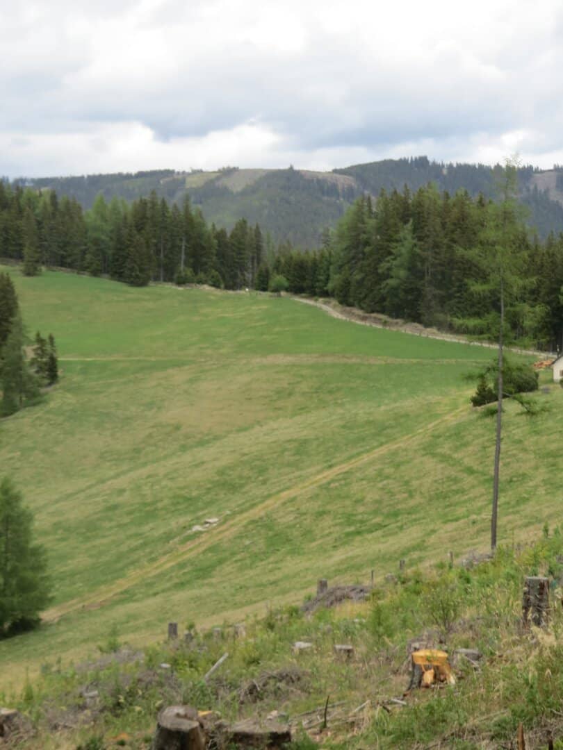 4,2 ha Wiesenfläche im Raum Knittelfeld