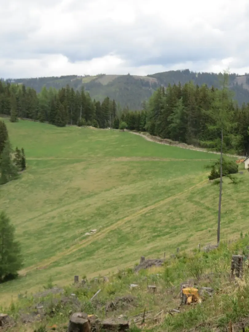 4.2 ha meadow area in the Knittelfeld area
