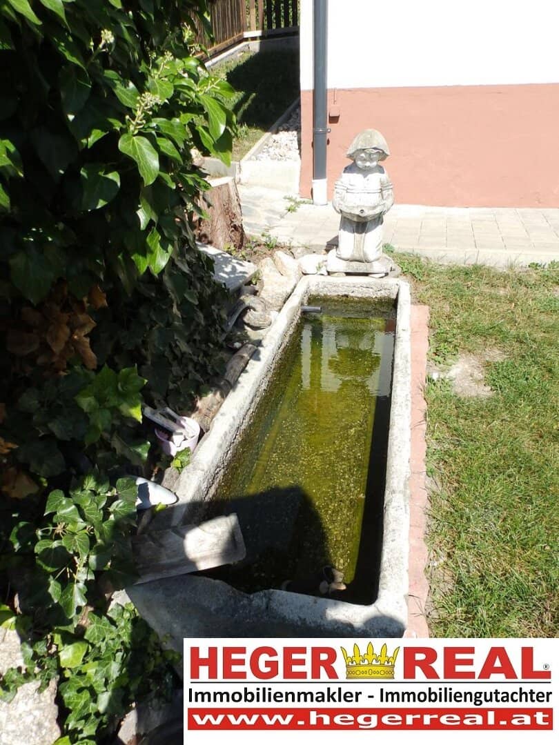 NATUR PUR - 4 ZIMMER MIETHAUS - umgeben von WIESEN - FELDER - WÄLDERN