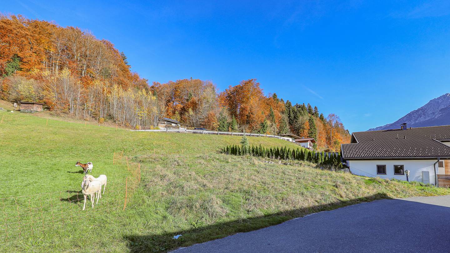 Ruhig und naturnah mit Kaiserblick Wohnung