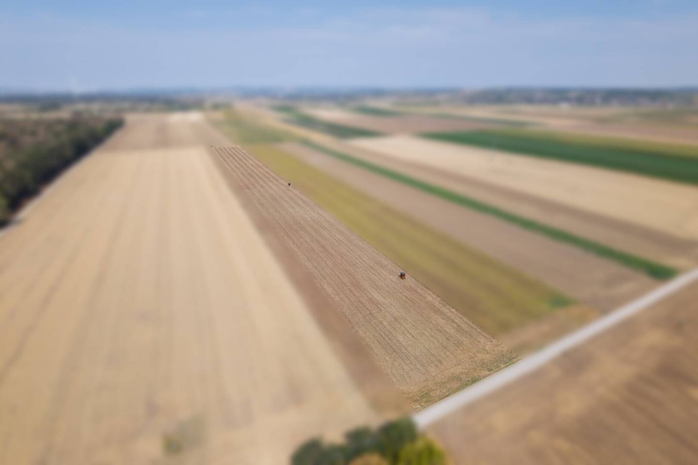 Landwirtschaftliches Grundstück in der KG Großengersdorf - 27952m2