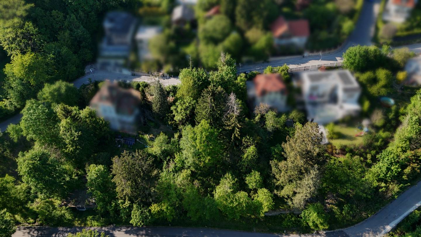 Sonniges Baugrundstück in Waldrandlage Wohnung