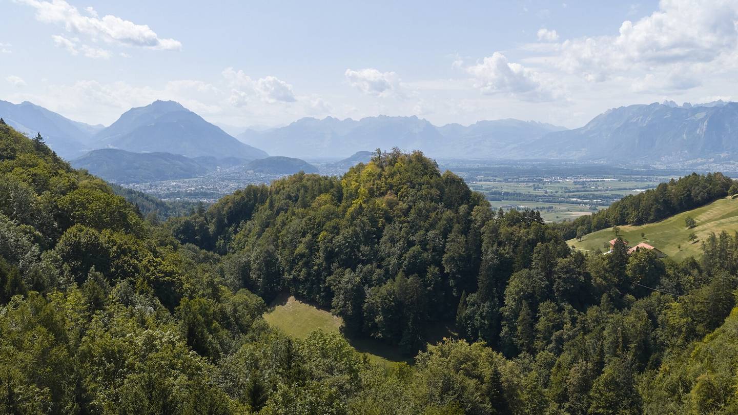 Attraktives Mehrfamilienhaus als Kapitalanlage mit Eigennutzungspotenzial in Fraxern