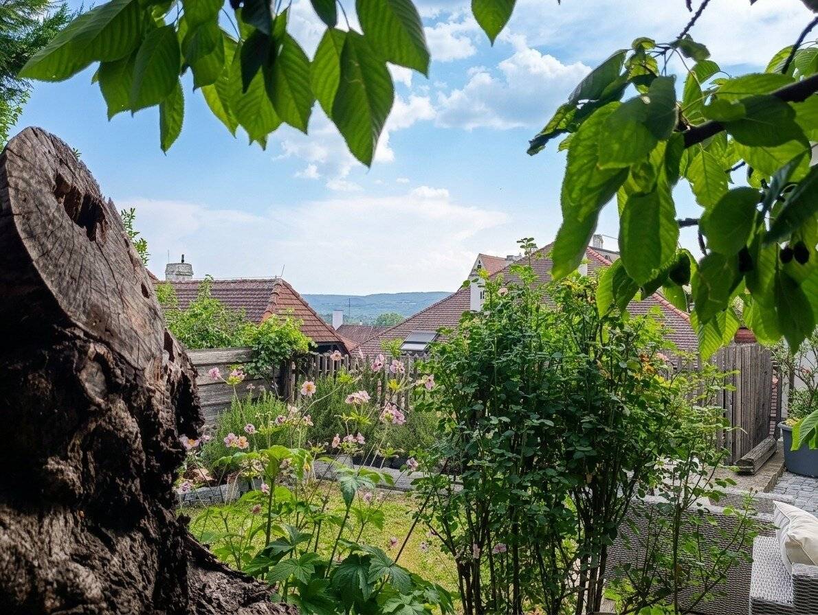 KREMS AN DER DONAU | HISTORISCHES JUWEL MIT GARTEN & WEINKELLER