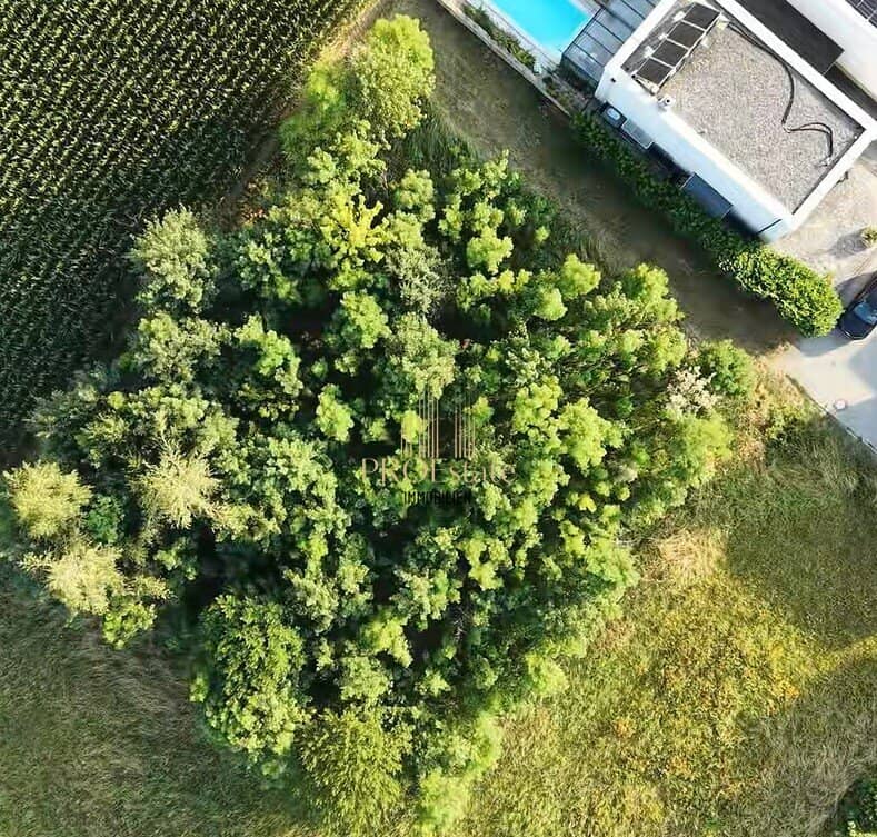Attraktives Wohnprojekt mit 4 oder mehr Wohneinheiten in ruhiger, grüner Lage in Thalheim! - Sackgasse!