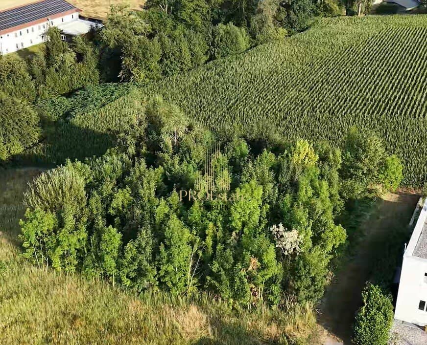 Attraktives Wohnprojekt mit 4 oder mehr Wohneinheiten in ruhiger, grüner Lage in Thalheim! - Sackgasse!