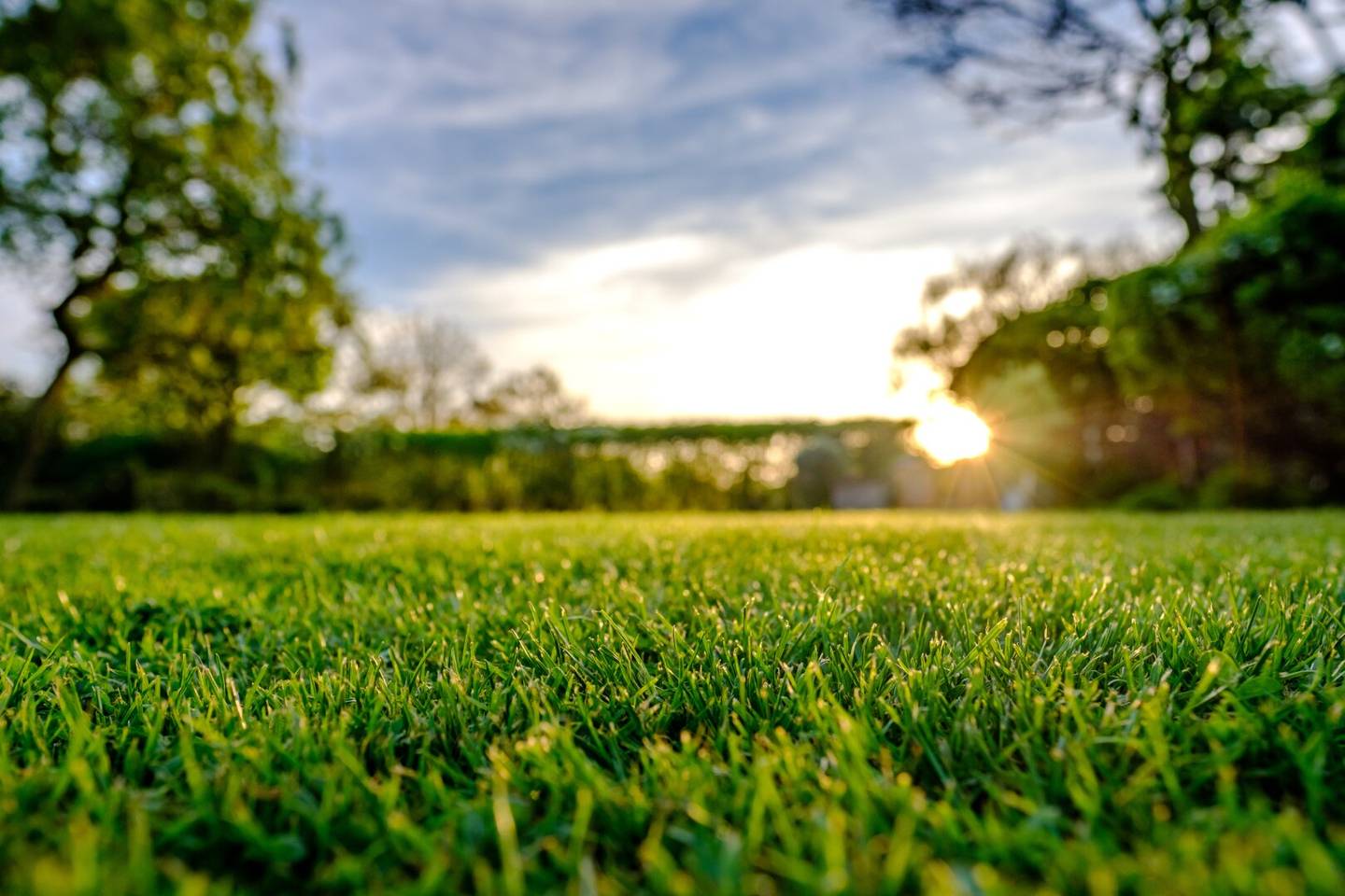 Grassland with Perspective in Graz