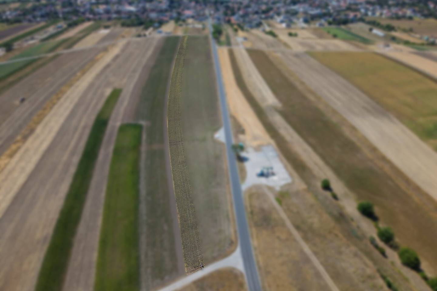 Landwirtschaftliches Grundstück in der KG Auersthal - 4777m2