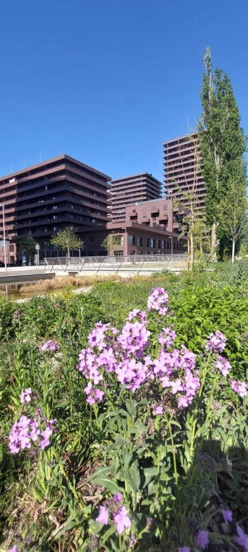 Großzügige und komfortable 2 - Zimmerwohnung im Reininghaus Park