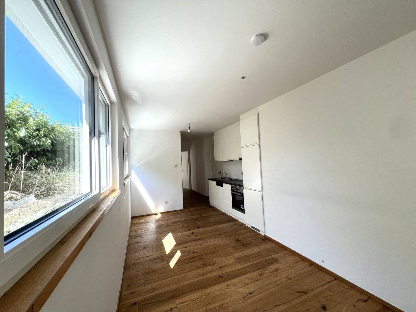 Immobilienbild 2