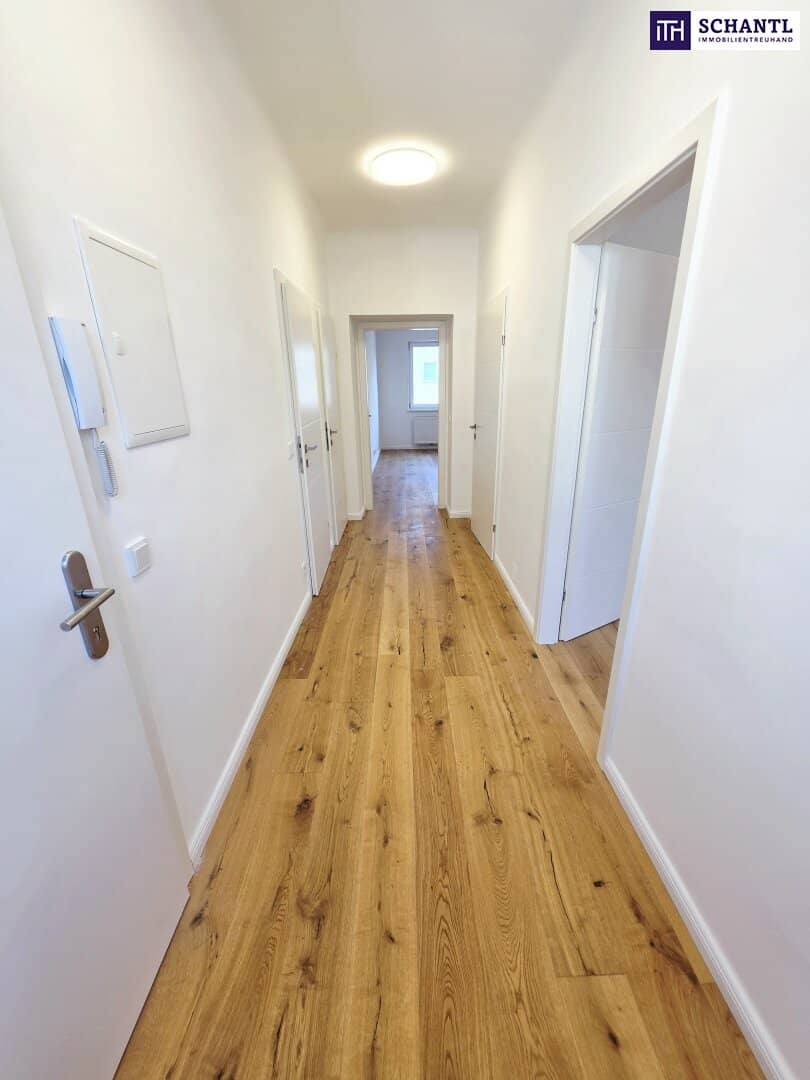 Pure city life Freshly renovated first occupancy on top elevator floor Quiet side street Reinprechtsdorfer Straße around the corner Fair price