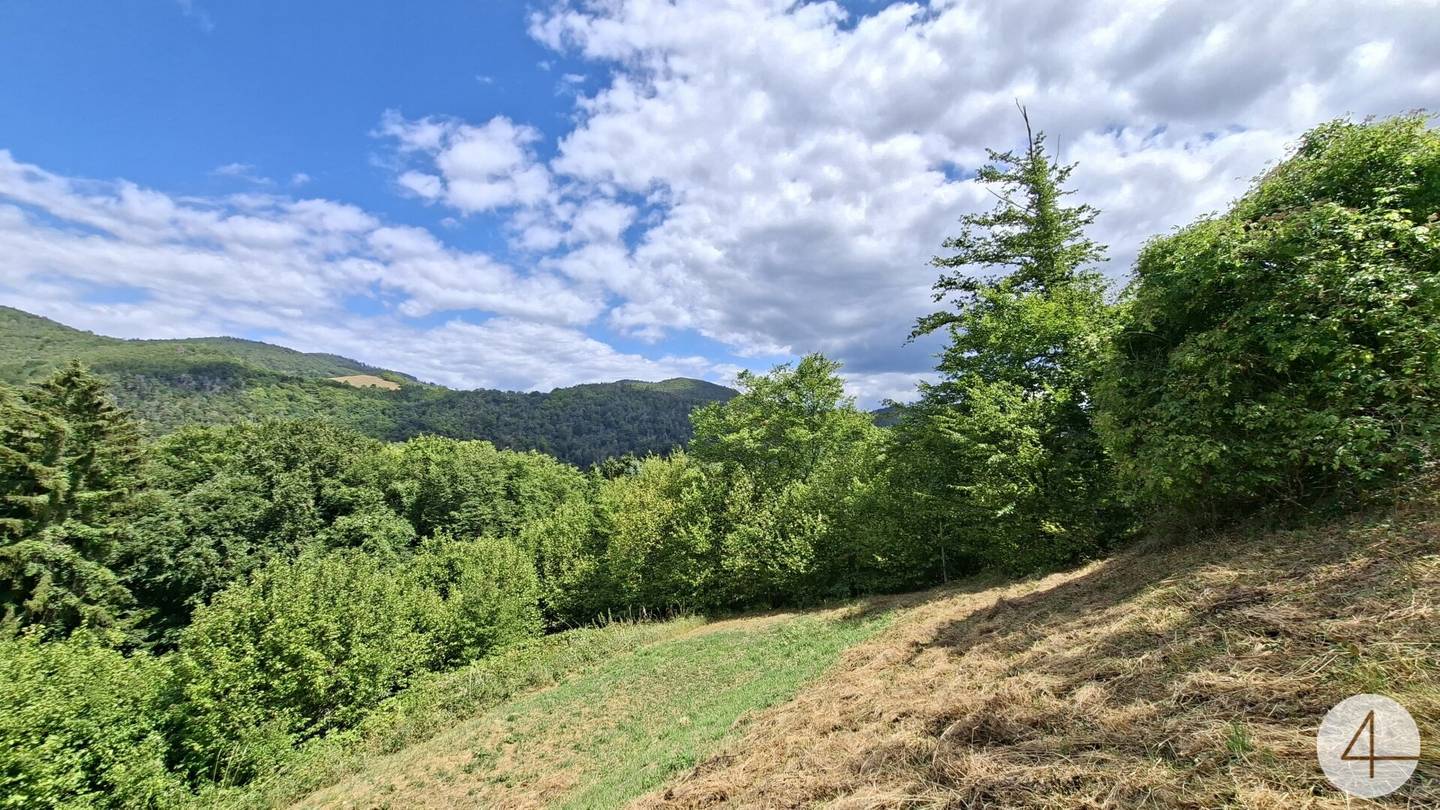 Idyllische Hanglage im Weitental