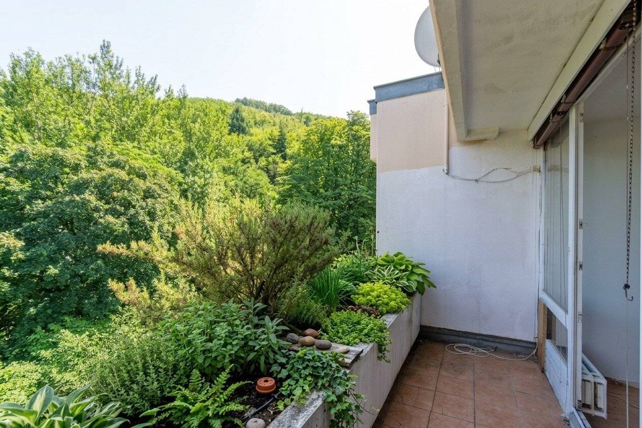 3-room apartment with loggia, barrier-free access and garage space near the center in Purkersdorf