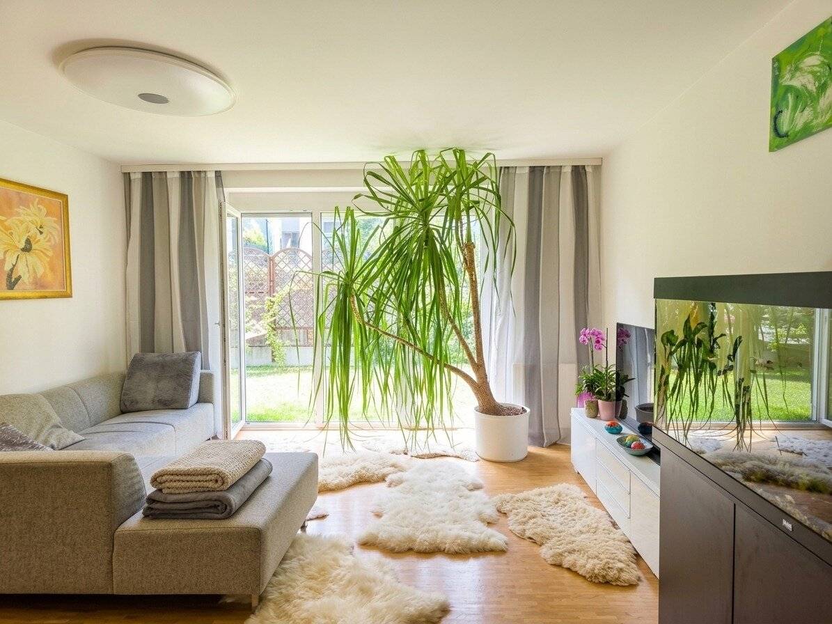 LIVING am FROSCHBERG – Your green IDYLL in Linz top location