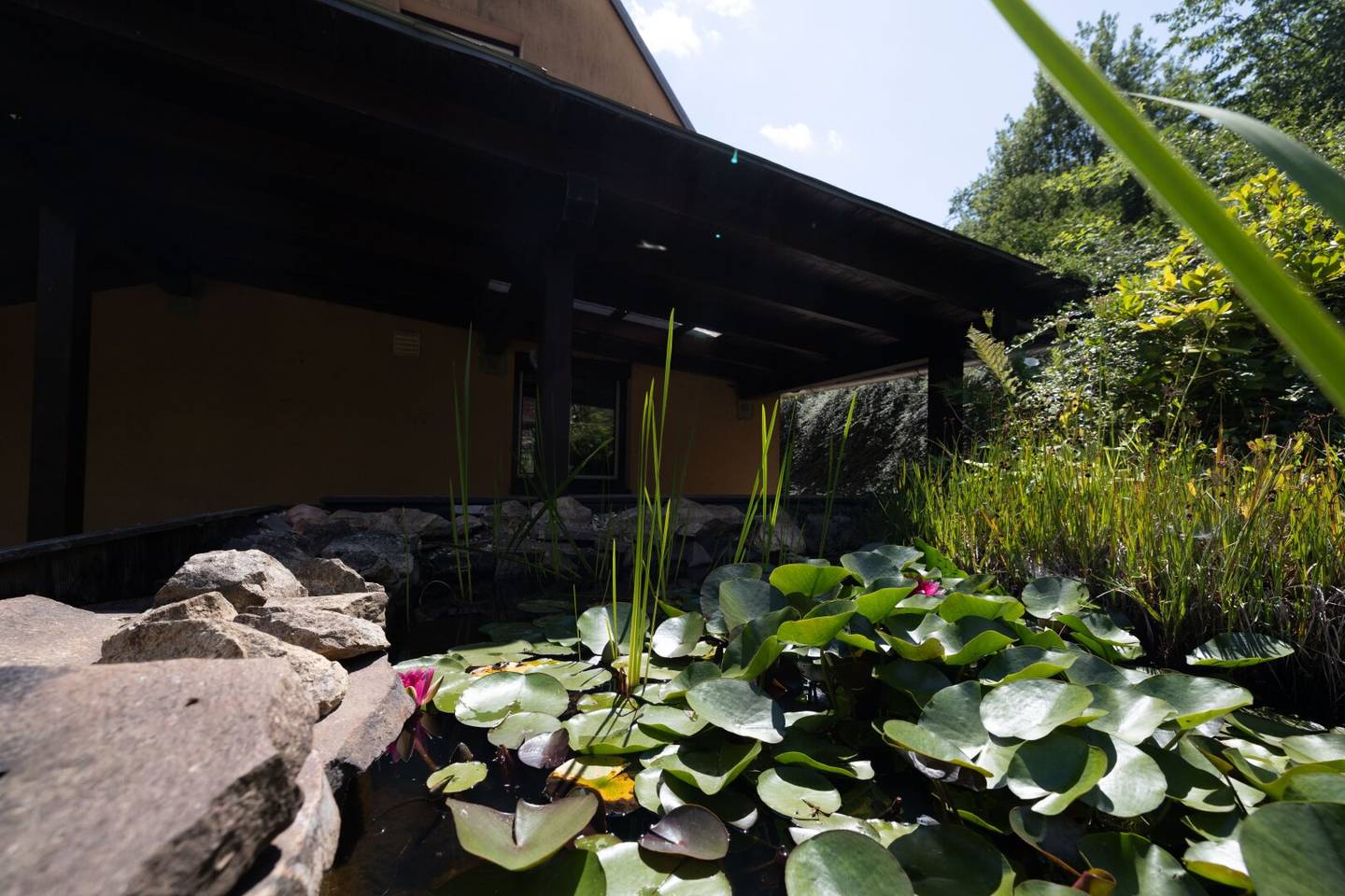 Terraced house I Garden 381m² with small garden pond I 2 bathrooms I Covered shelter I Pellet heating I PROJEKT WOHNEN