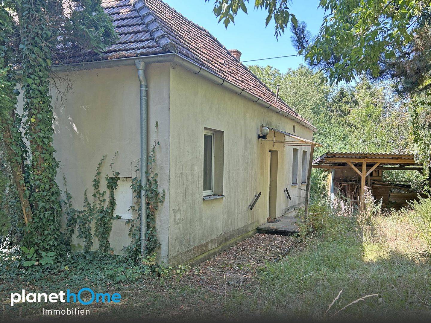 Wohnung mit großem Grundstück und Sanierungs­potenzial