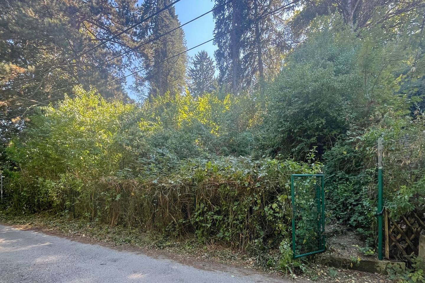 2.008 m² building plot with approved semi-detached house project in Augustinerwald