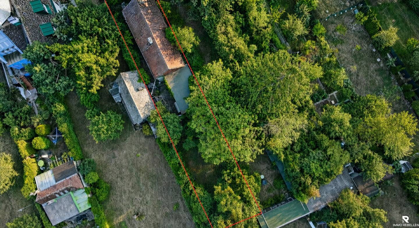 Where Vienna is greenest: Exclusive building plot for your custom-built home