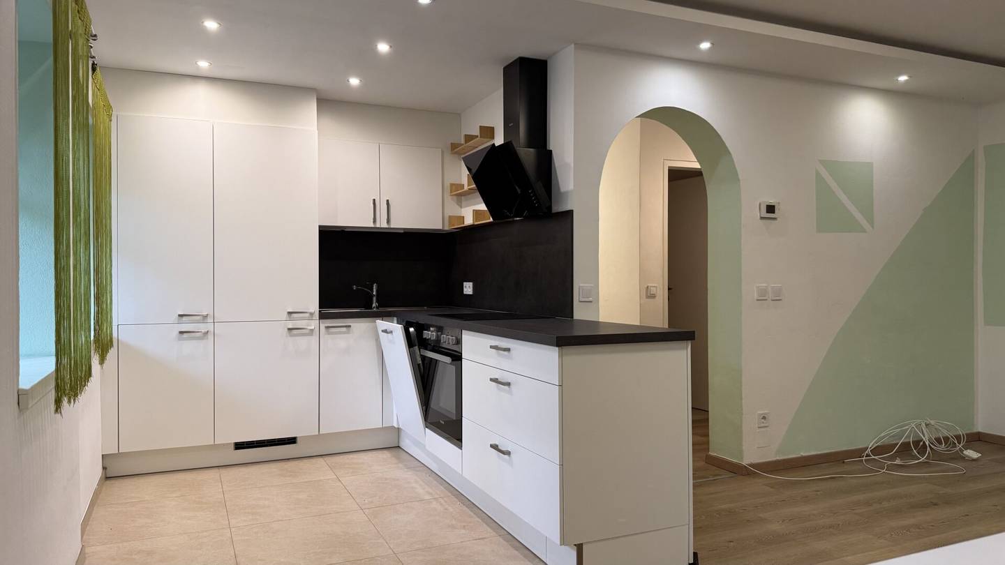 Modern 3-room apartment with kitchen for rent