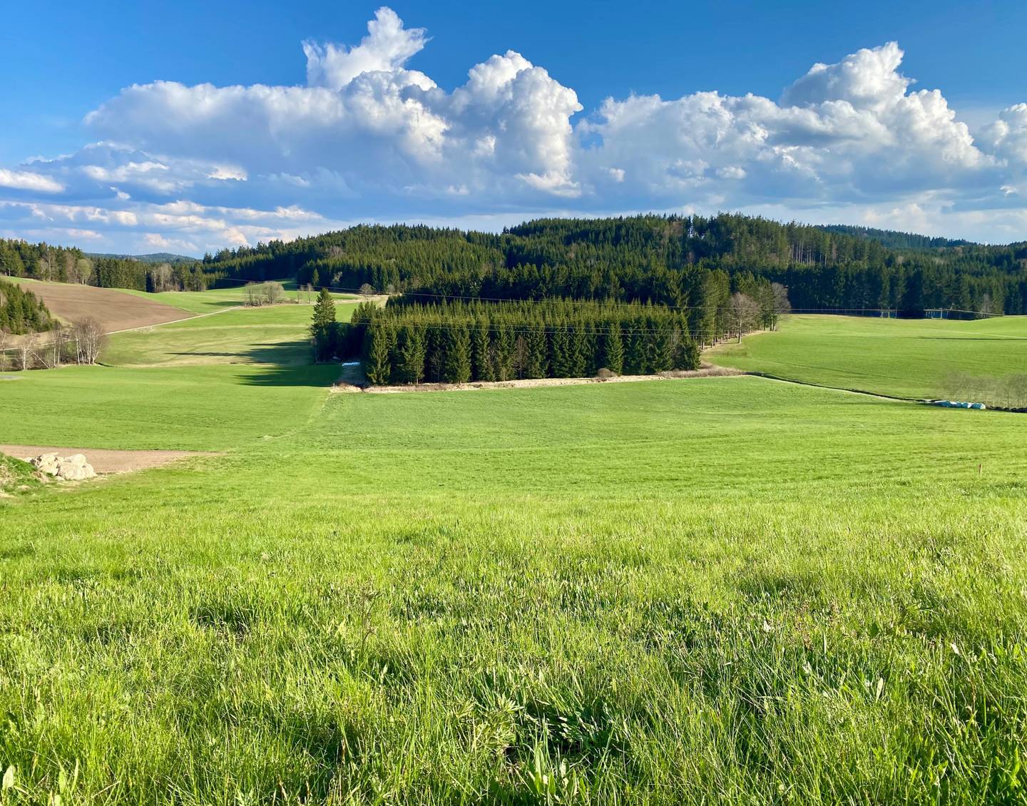Sonnige Dorfrandlage ideal für grünes Wohnen Wohnung