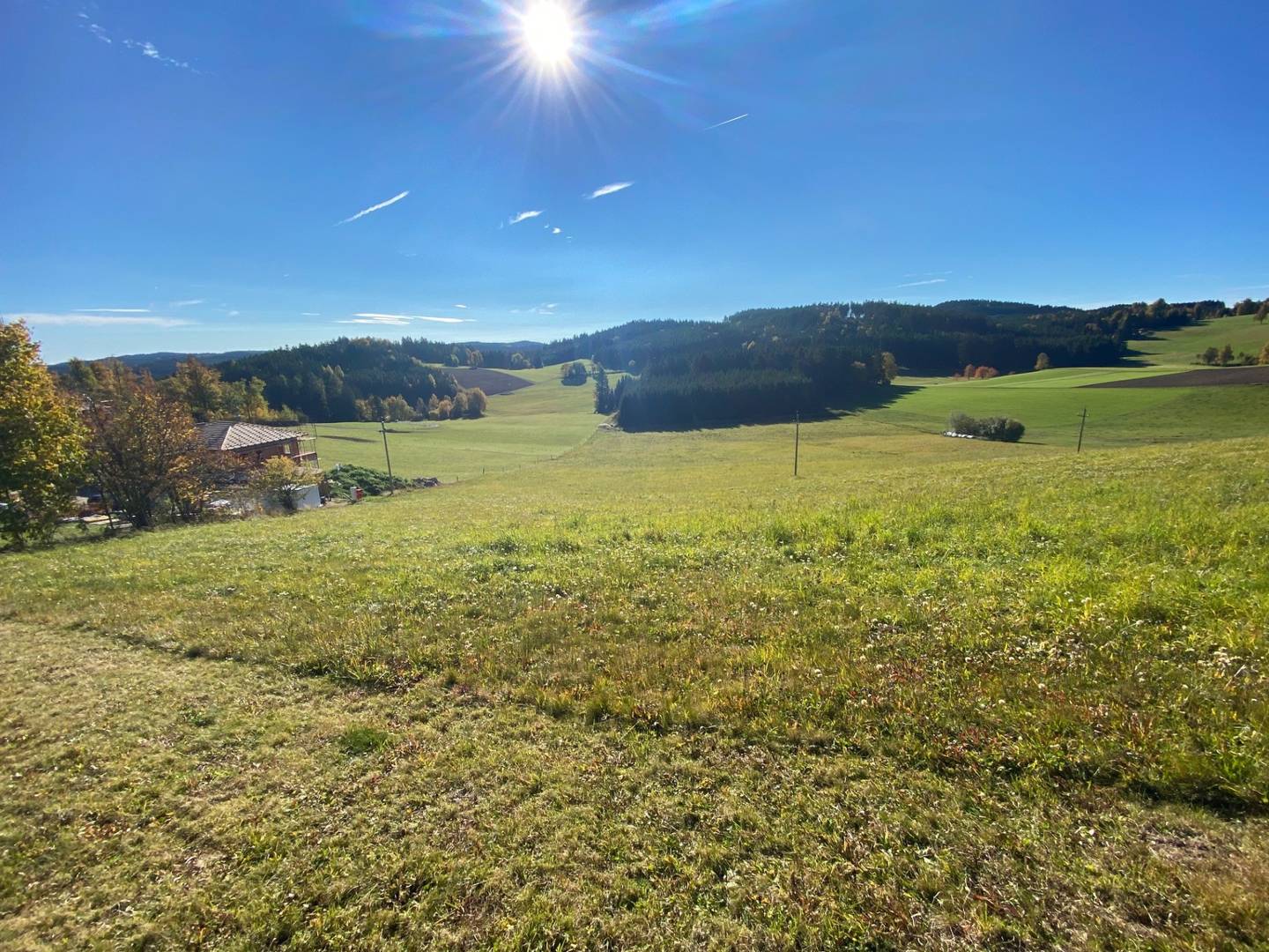 Sonnige Dorfrandlage ideal für grünes Wohnen Wohnung