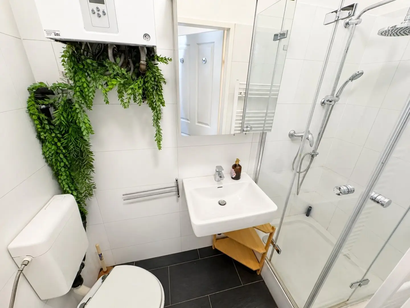 Furnished period apartment in prime location near AKH