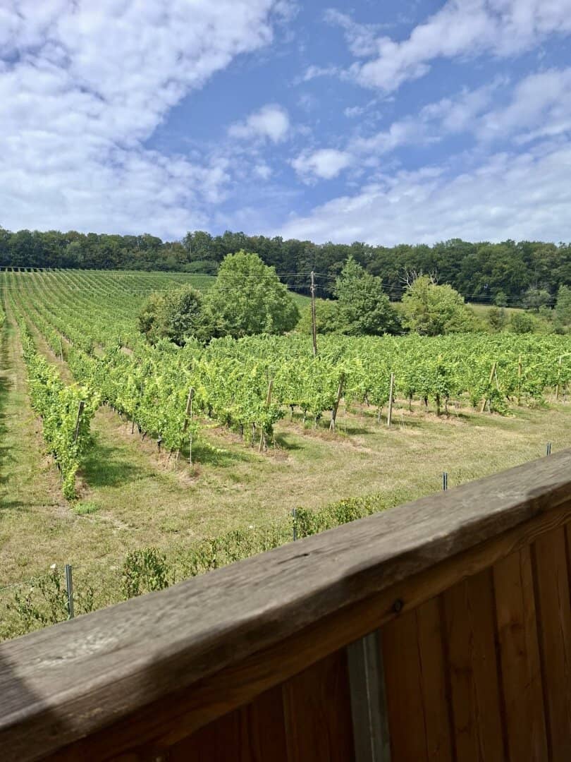 Living by the Vineyard – 75 m² Condominium with Balcony Carport Amidst the South Styrian Nature, directly by the vineyard and near Spielfeld Castle