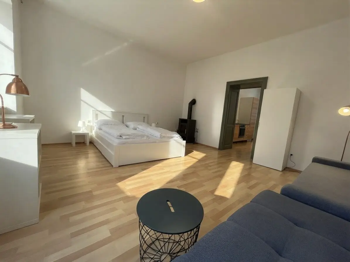 Ready for Airbnb- Fixfertig ausgestattete Wohnung im Zentrum
