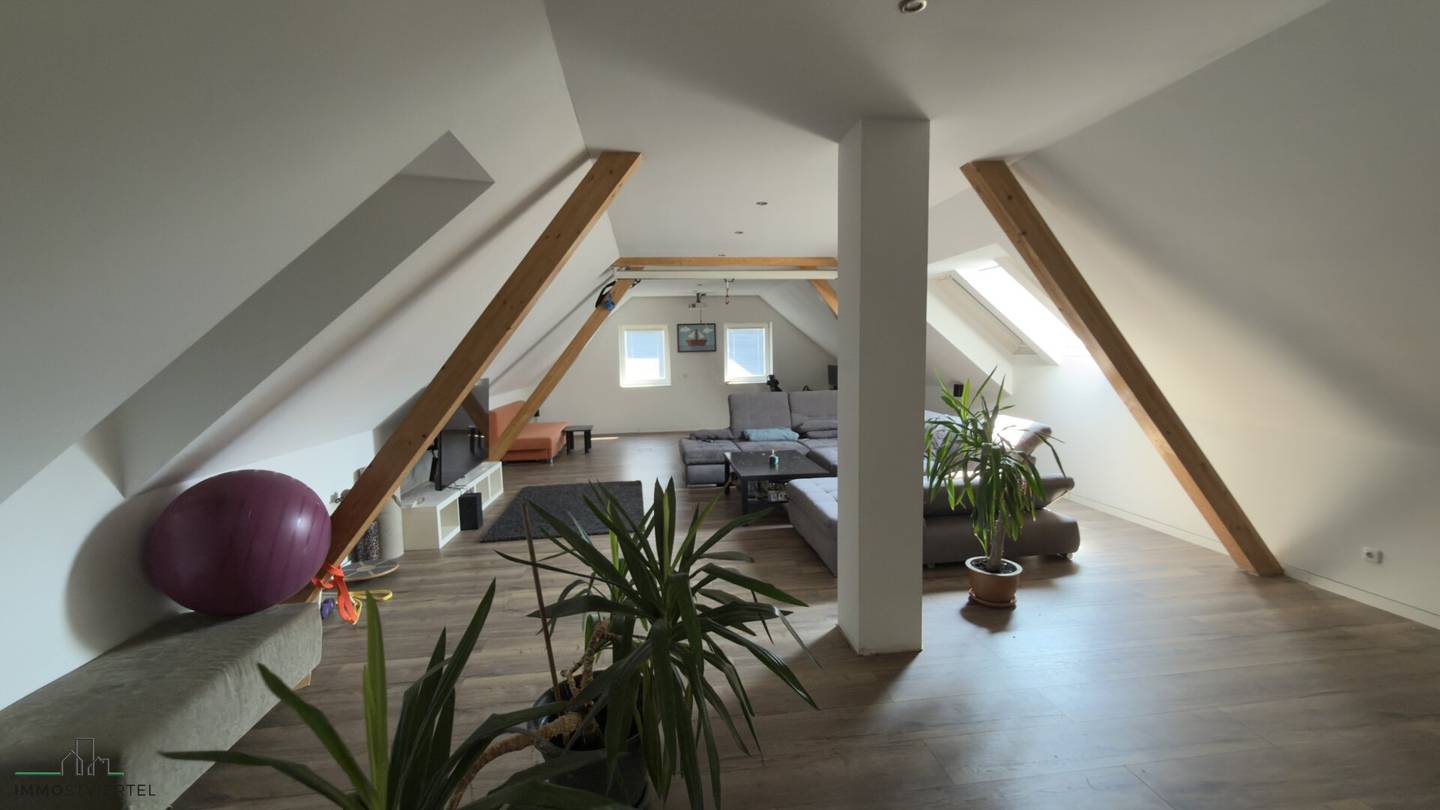Spacious Partly Renovated House with Potential