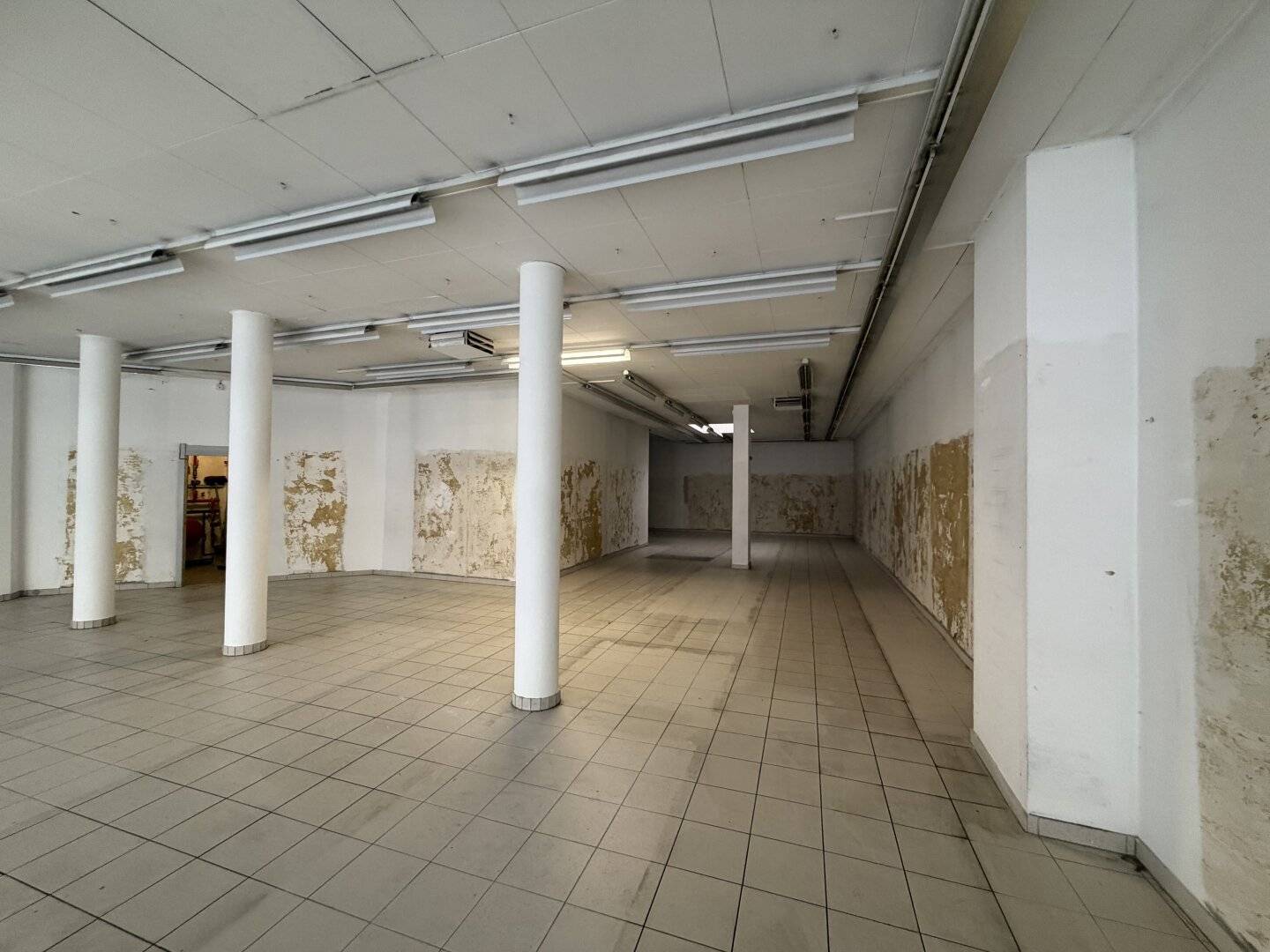 Top commercial premises on the ground floor in 1200 Vienna – attractive rent, available immediately!