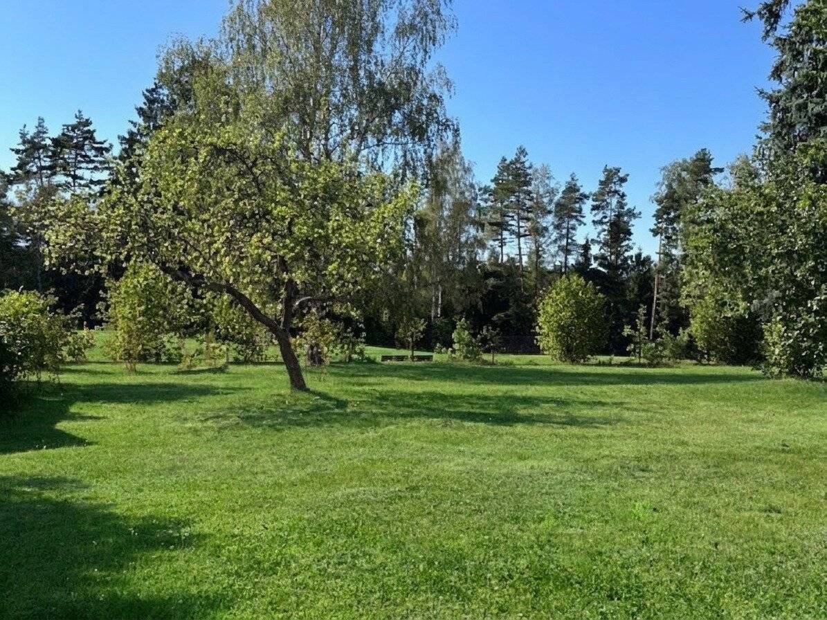 Einfamilienhaus am Stadtrand von Litschau beim Golfplatz