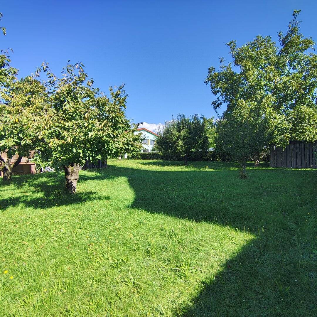 Haus mit Geschichte auf großem Grundstück im Herzen von Katsdorf – sonniger Garten &amp; viel Potenzial!