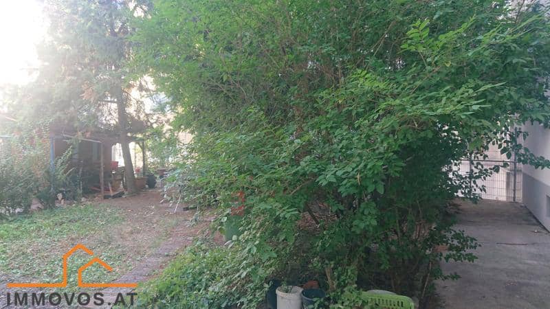 Bright apartment in a fully renovated building with separate kitchen