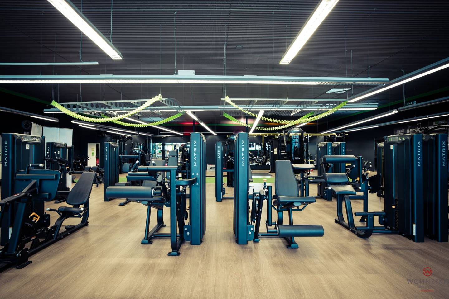Well established fitness center in Wilhelmsburg for rent