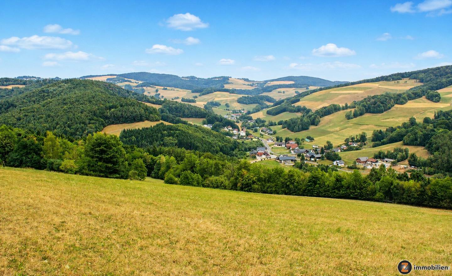 Bucklige Welt: Landwirtschaftliches Gut in Alleinlage!