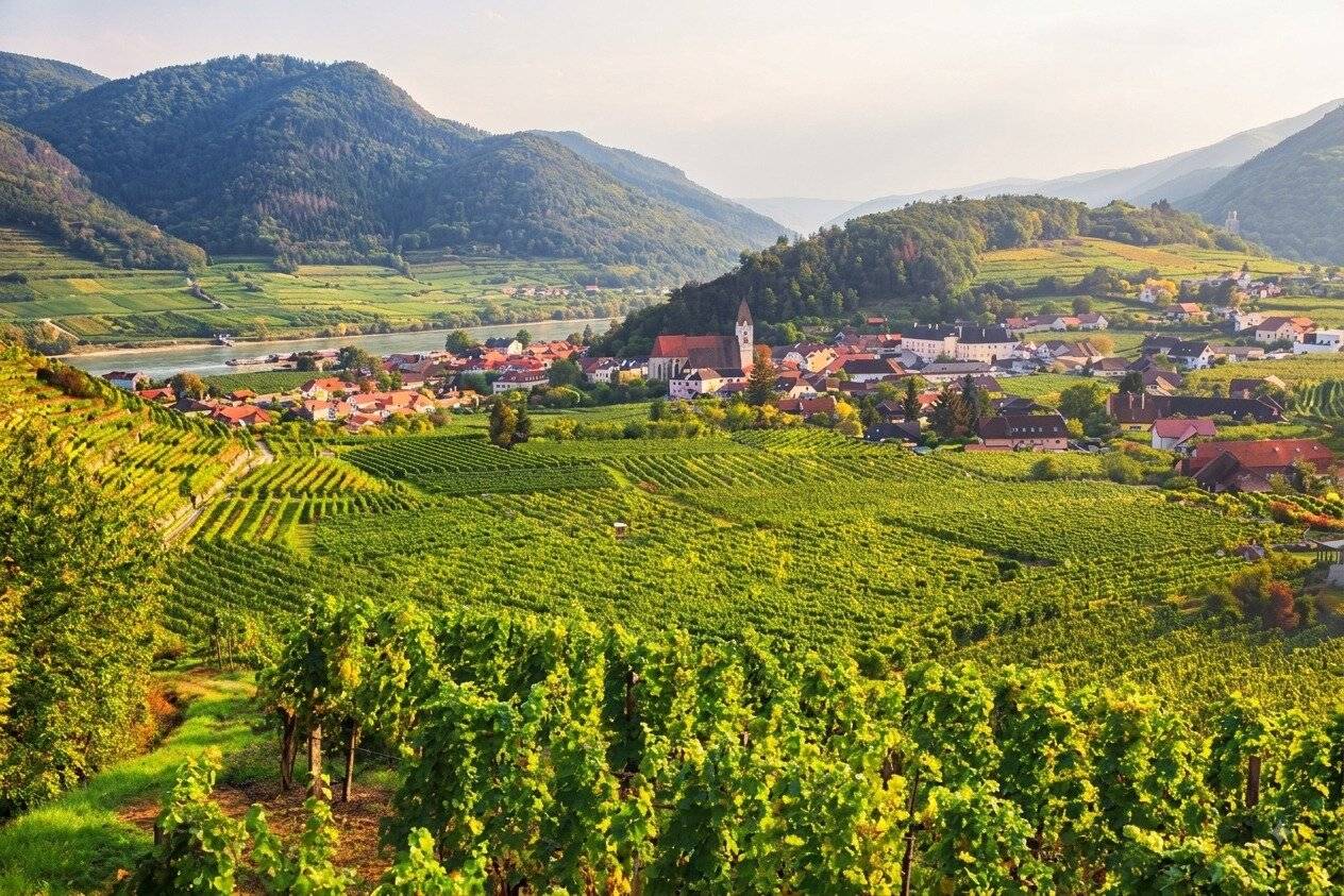 ZWISCHEN WEINGARTEN UND DONAU — BAUREIF / 23 Wohneinheiten, denkmalgeschützt, baubewilligt