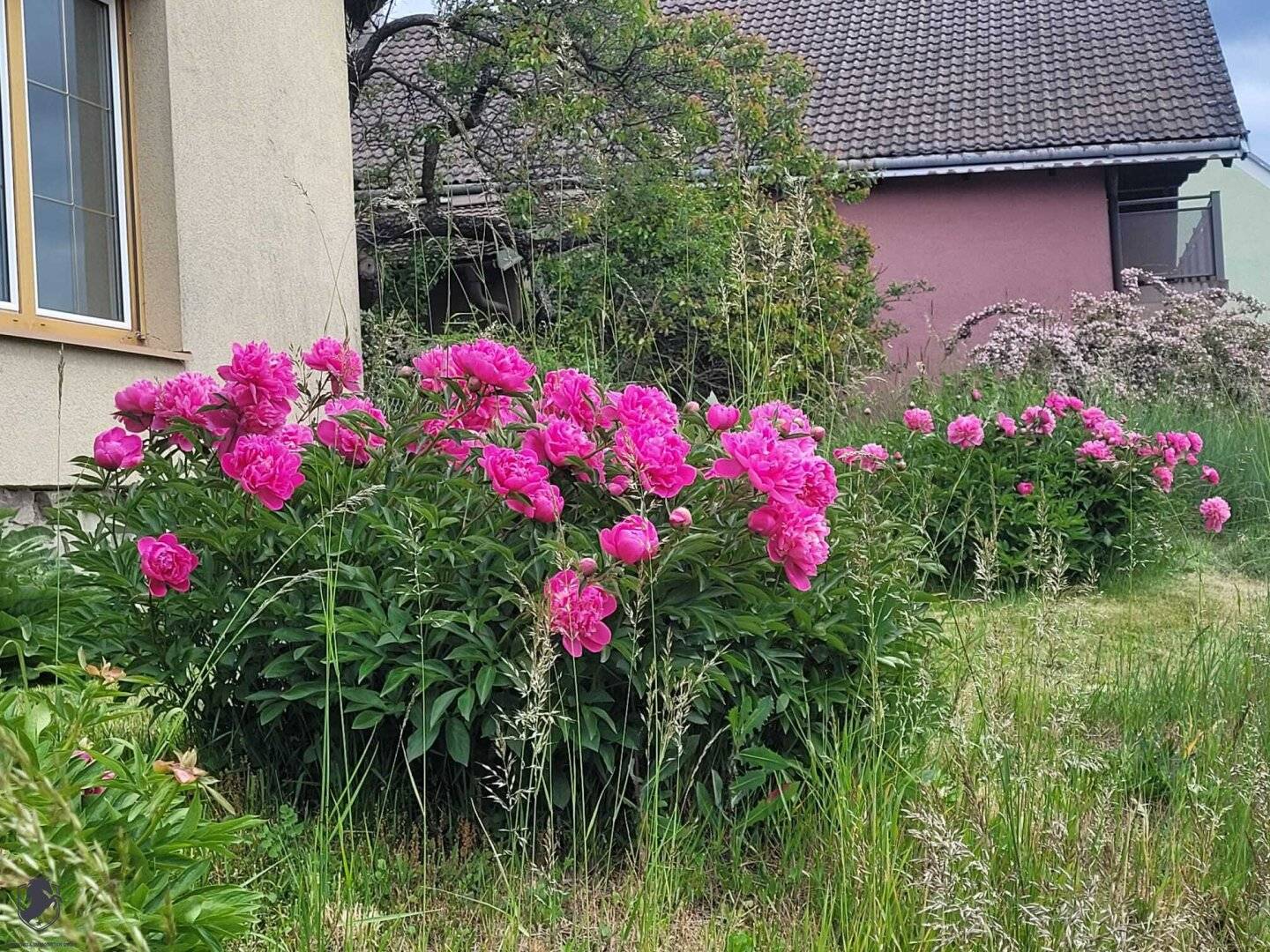 Großzügiges Zweifamilienhaus mit Innenhof, Gewölbekeller und traumhaftem Ausblick
