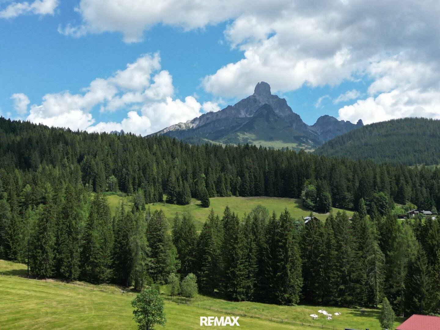 Baugrundstück mit Dachsteinblick – 1.000 m² Lebensqualität in Filzmoos