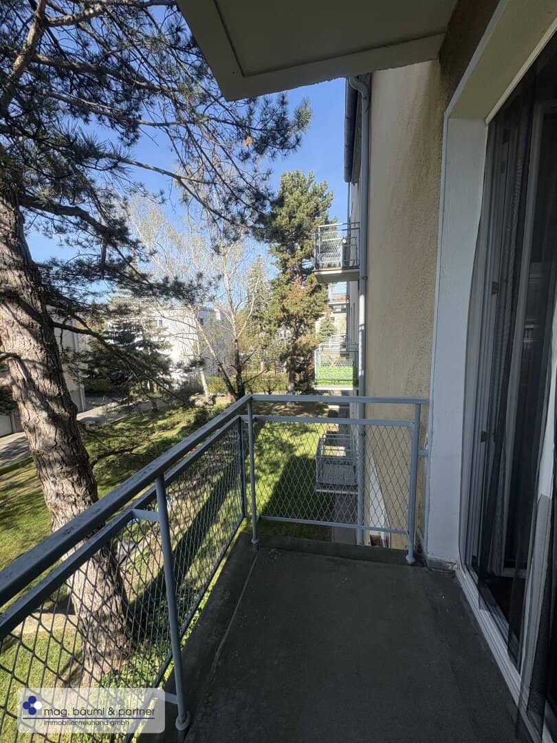 Natürlich  beschattete 2 Zimmer mit Balkon und separater Küche