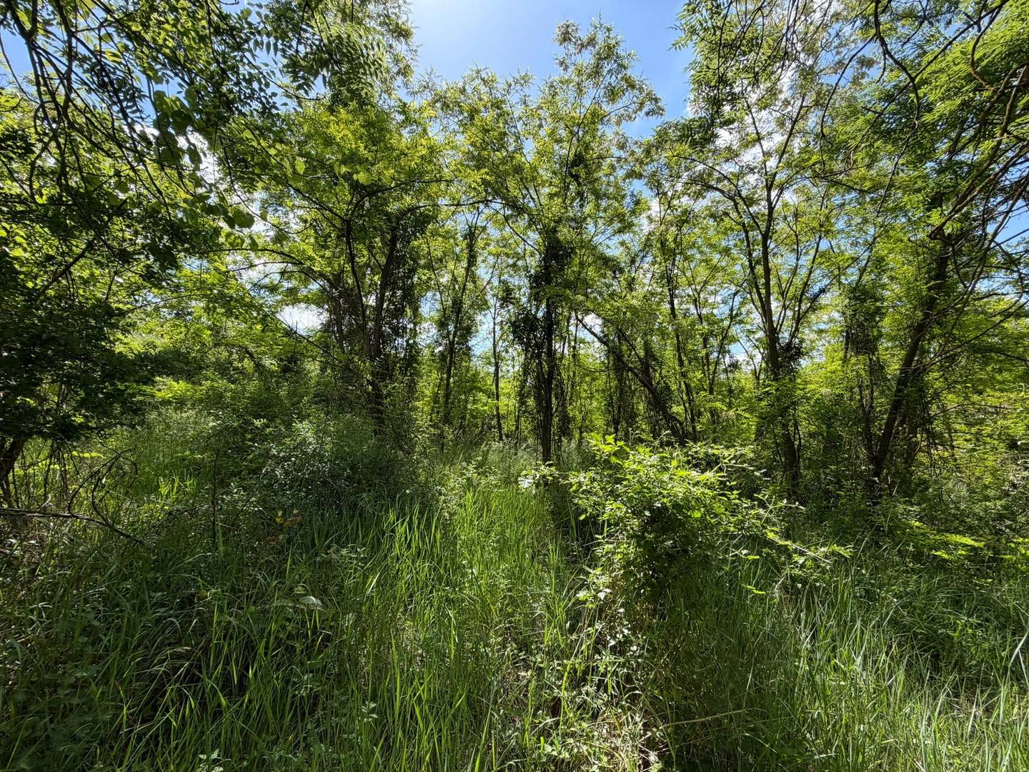 Naturnahes Ferienwohnung mit vielseitigem Gelände