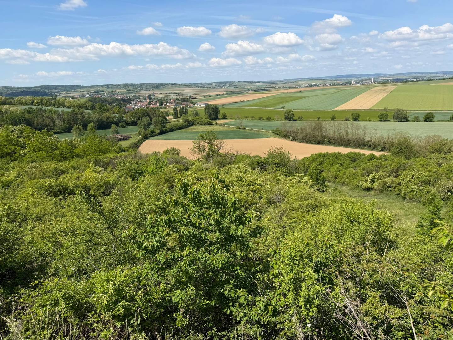 Naturnahes Ferienwohnung mit vielseitigem Gelände