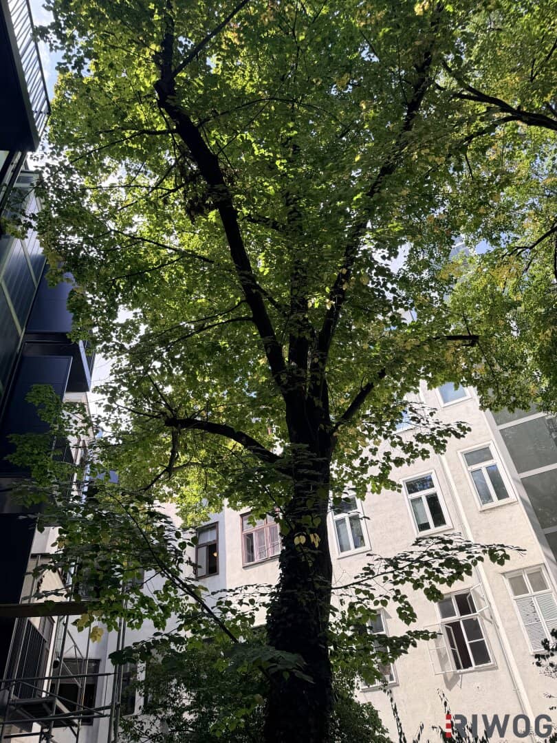 Ruhige Gartenfläche im grünen Innenhof – 29,4 m²