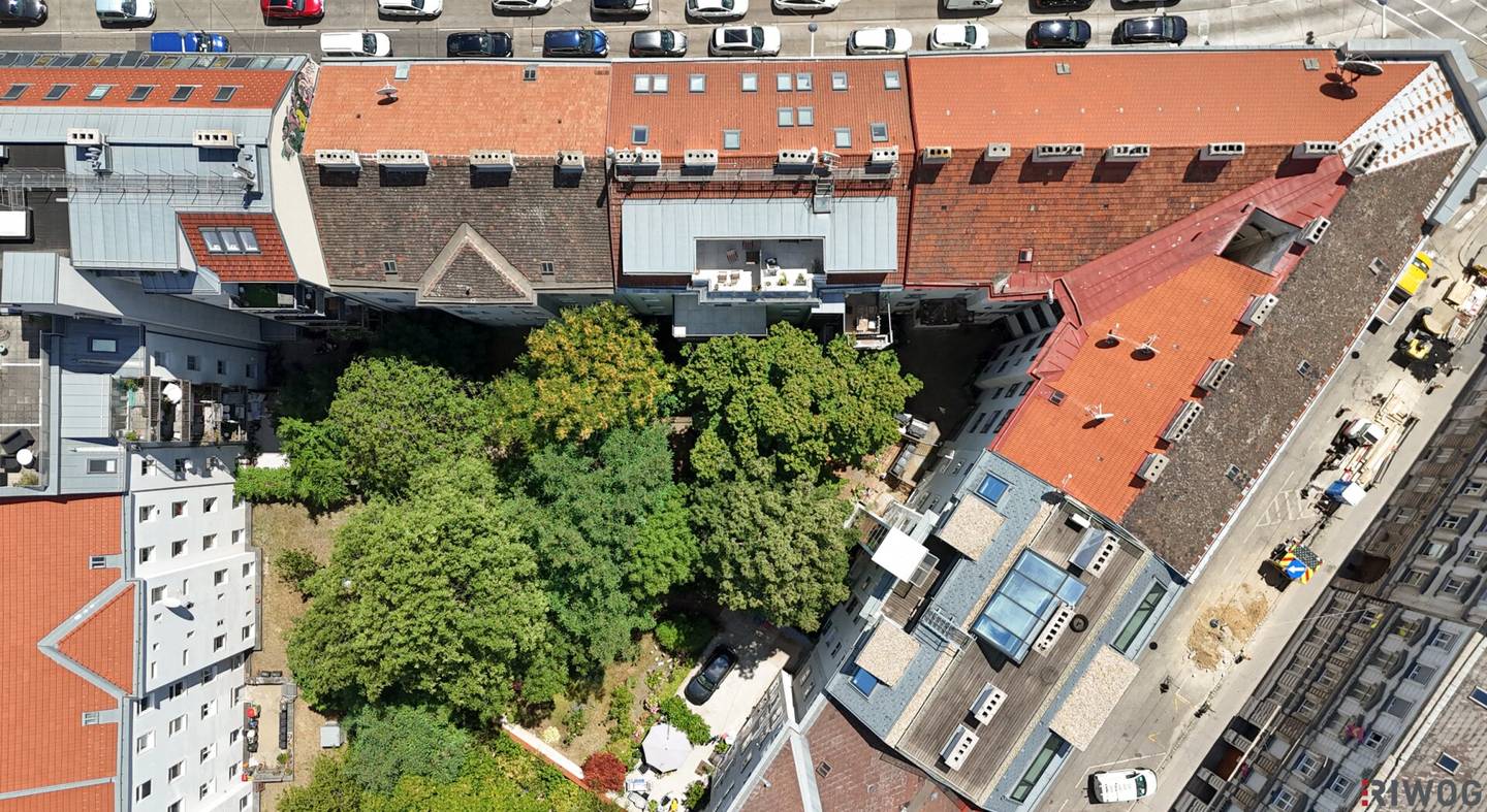 Ruhige Gartenfläche im grünen Innenhof – 29,4 m²