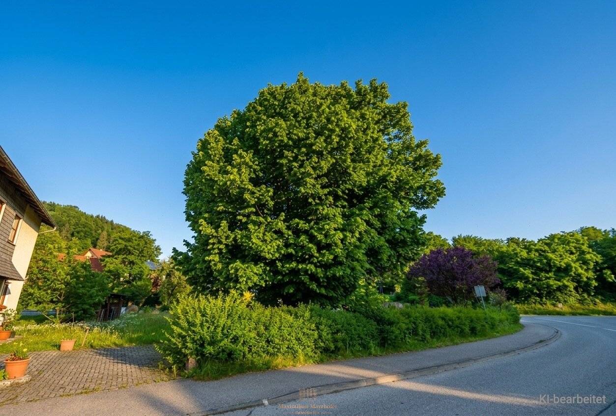 Building plot 632 m² | No building obligation | Grein on the Danube | Upper Austria | € 85,000