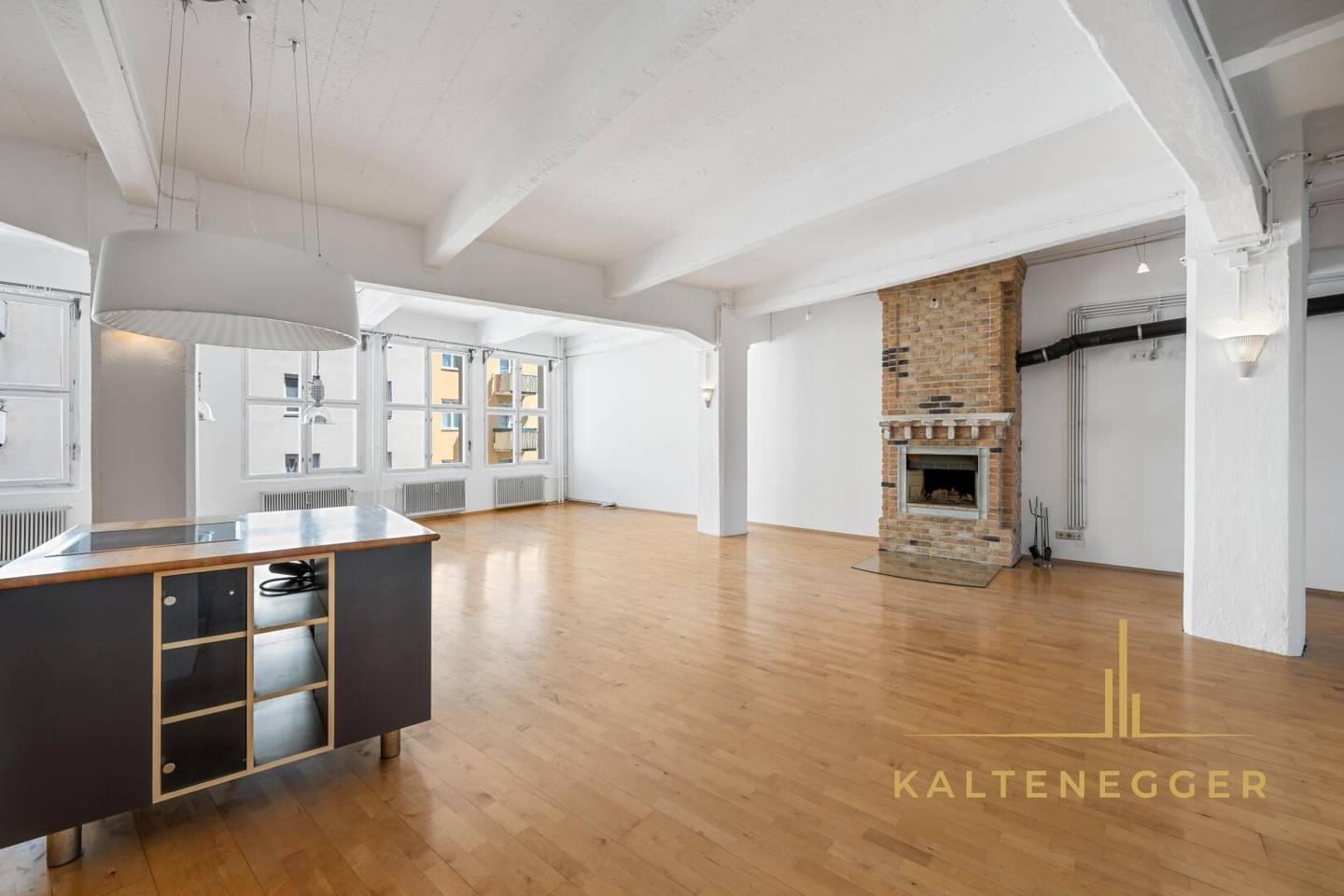 LOFT MIT CHARAKTER – 170m² Atelierwohnung mit 40m² Terrasse, 42m² Keller/Werkstatt, Kamin &amp; eigenem Lift