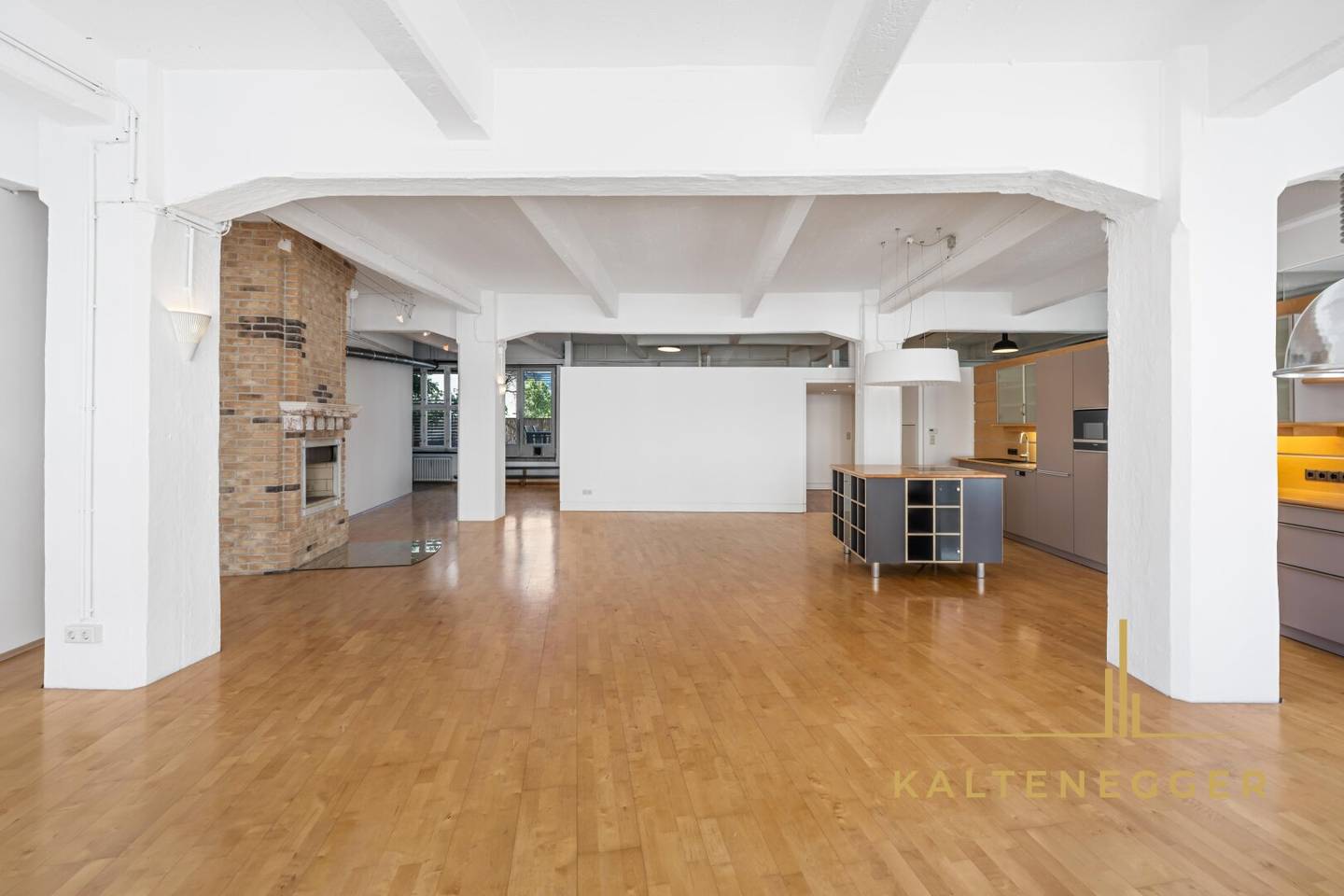 LOFT MIT CHARAKTER – 170m² Atelierwohnung mit 40m² Terrasse, 42m² Keller/Werkstatt, Kamin &amp; eigenem Lift