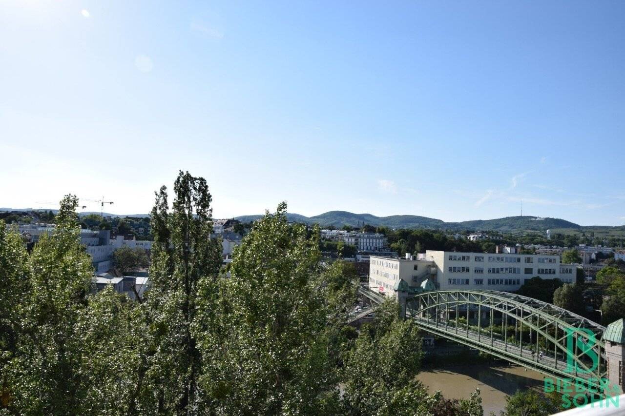 Elegant spacious apartment with views over Vienna near Döblinger Steg